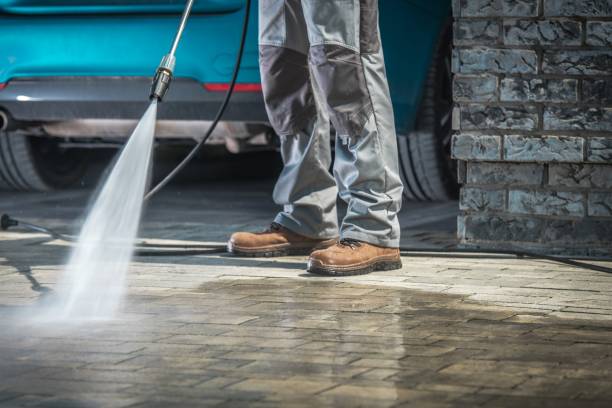 Best Dumpster Area Cleaning  in East Meadow, NY